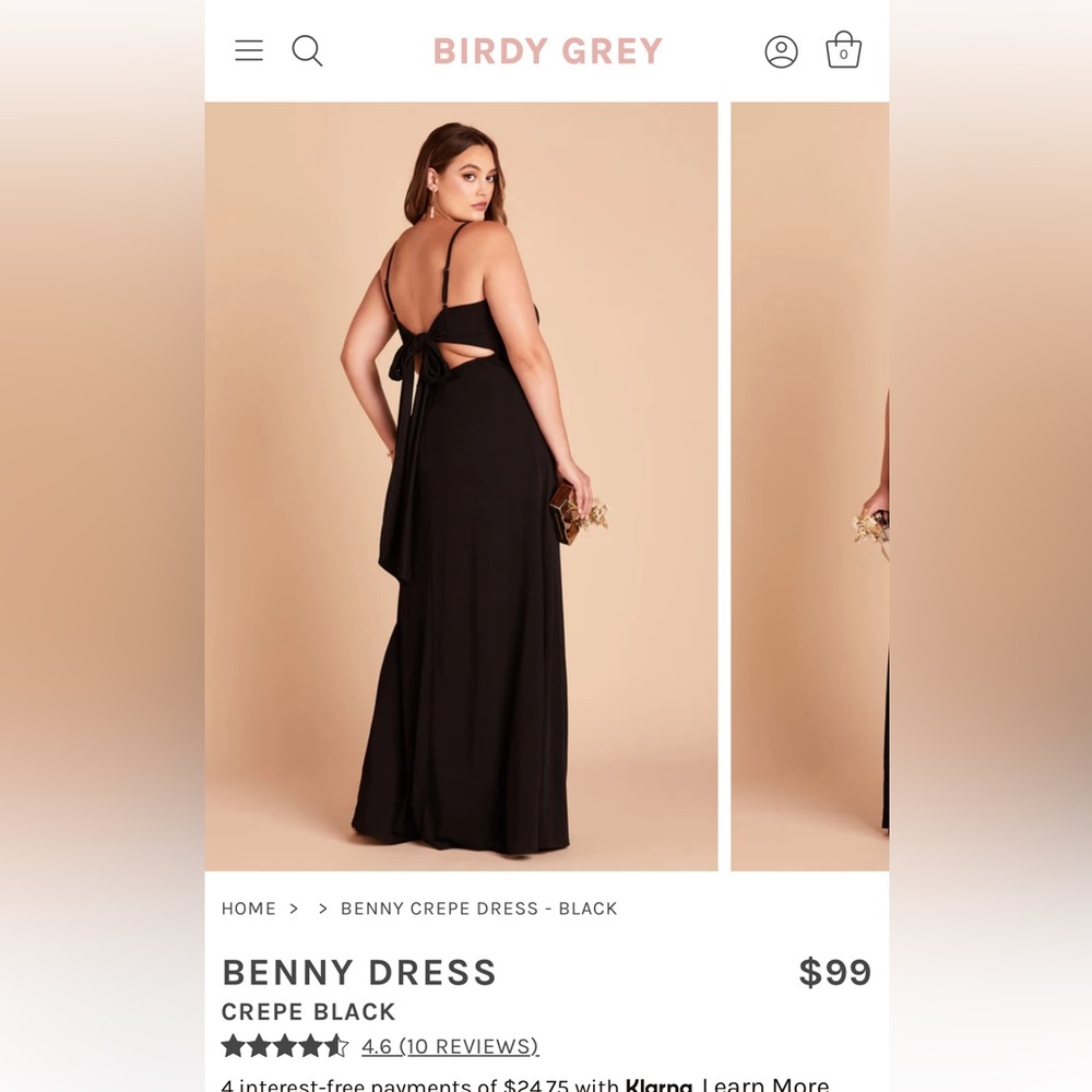 Birdy Grey bridesmaid dress. No alterations done. Adjustable straps.